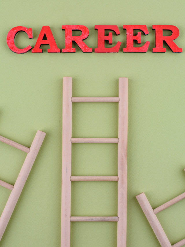 What Career Should I Choose Based on My Interests? StanzIQ