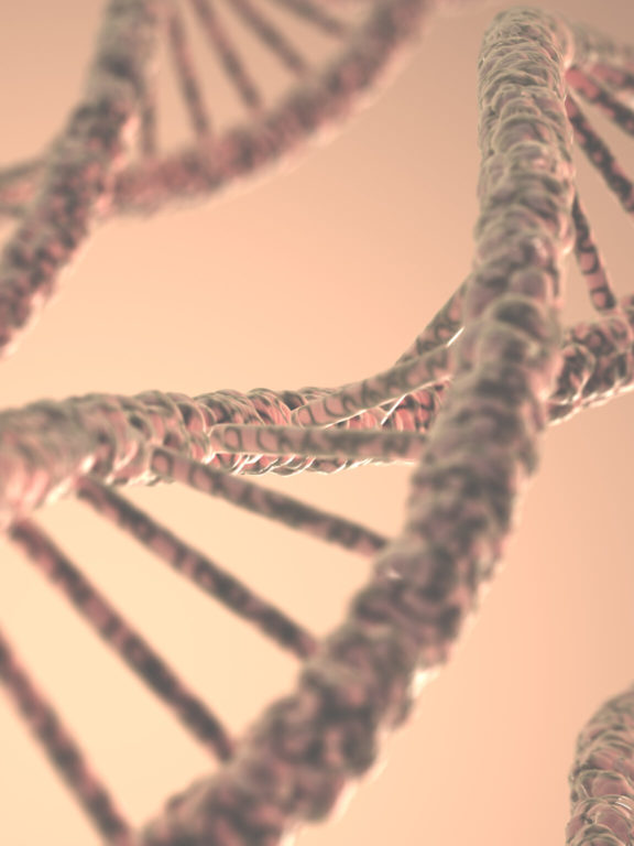 How Your DNA Traits Affect Your Career Prospects