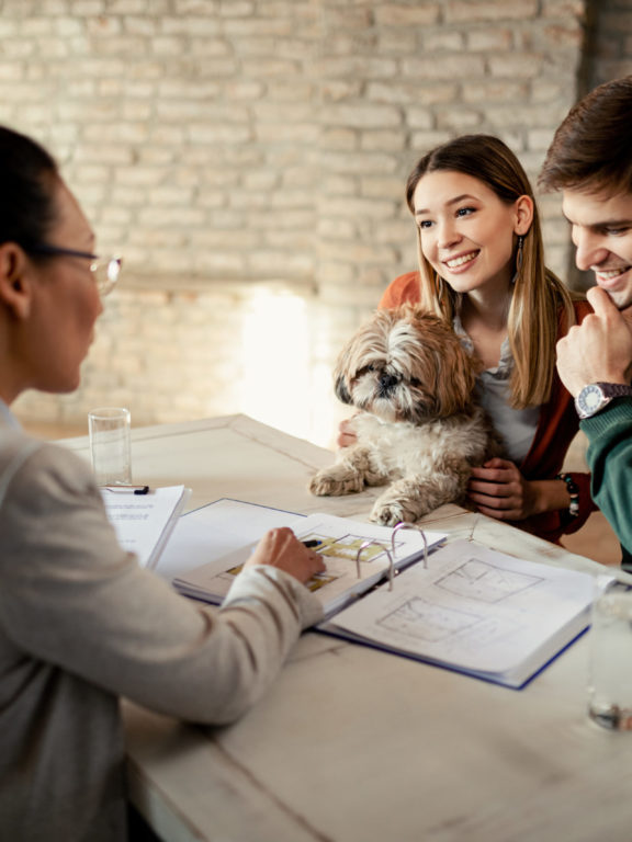 How Pet Insurance Can Help You Save Money as a Dog Owner